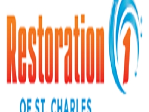 Mold Restoration Company in St. Charles | Restoration 1 of St Charles