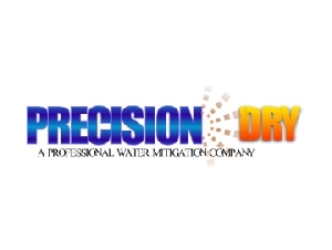 Precision Dry